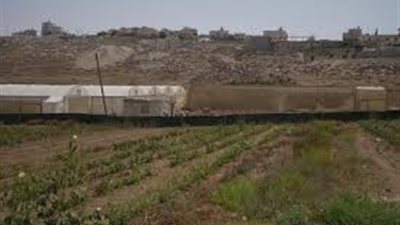 بحماية قوات الاحتلال.. مستوطنون يمنعون المزارعين من الوصول لأراضيهم برام الله 