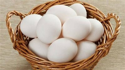 ارتفاع الأبيض، أسعار كرتونة البيض في بورصة الدواجن اليوم الأربعاء 13-8-2025 