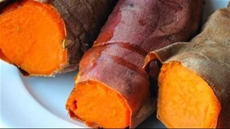 البطاطا الحلوة 