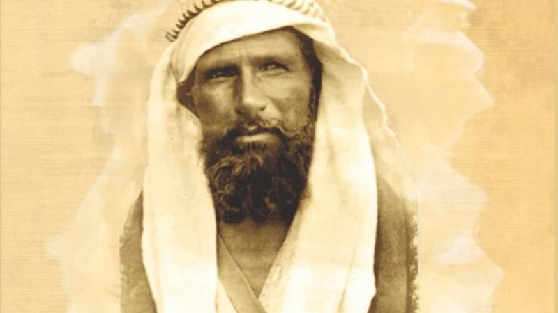 غلاف الكتاب. فيتو