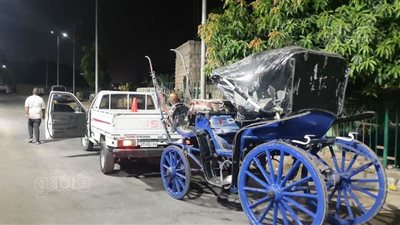 حملة مكبرة لضبط عربات الحنطور المخالفة بأسوان