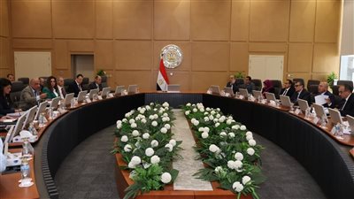 الأعلى للطاقة يناقش رفع قدرة 14 مشروعا صناعيا وخطوط إنتاج جديدة 