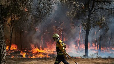 بسبب موجة الحر، اندلاع حرائق واسعة بالغابات في أوروبا 