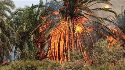 السيطرة على حريق دون خسائر بشرية في قرية البشندي بالوادي الجديد 