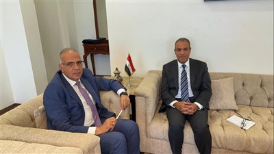 وزير الخارجية: الحفاظ على الأمن المائي المصري لن يضر المصالح التنموية لدول حوض النيل