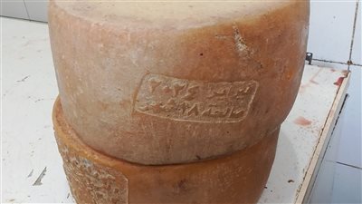 حملات تموينية على مخازن المواد الغذائية والمخابز البلدية والأسواق بالمنتزة