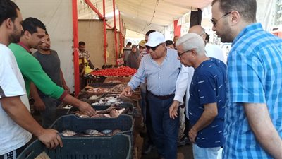محافظ الدقهلية يتفقد سوق اليوم الواحد ويوجه بتحويله لسوق دائم (صور )