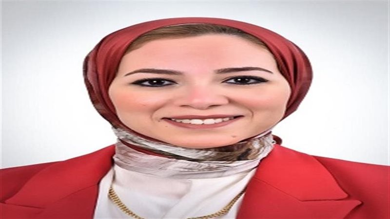المهندسة عبير الشربيني،