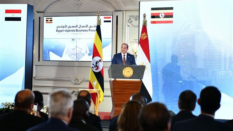 الرئيس عبد الفتاح