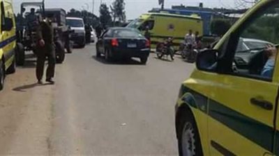 بينهم 9 أطفال، مصرع وإصابة 15 شخصًا في تصادم ميكروباص بسيارة ربع نقل بالوادي الجديد