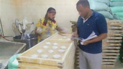 ضبط 320 مخالفة تموينية متنوعة في حملة مكبرة بالمنيا