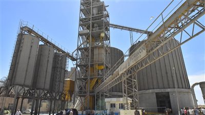 بـ 185 ألف طن، أسيوط تختتم موسم توريد القمح 