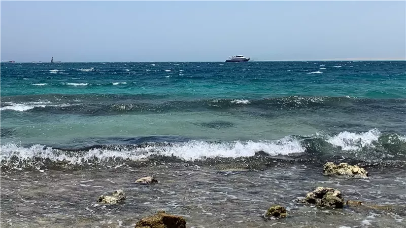 طقس الغد، فيتو