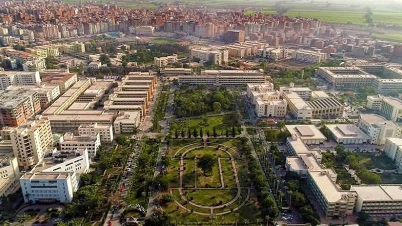 جامعة المنصورة، فيتو