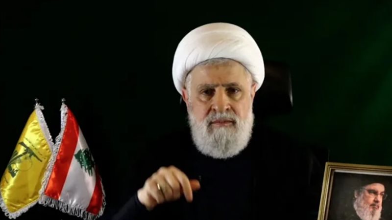 نعيم قاسم، فيتو
