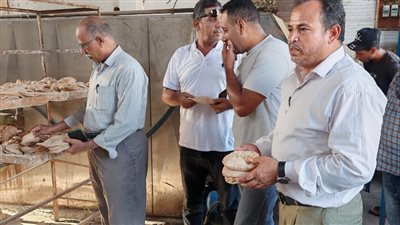 تحرير 135 مخالفة متنوعة في حملات تموينية بالإسماعيلية (صور) 