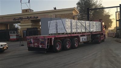  20 شاحنة إماراتية محملة بمواد غذائية تدخل غزة من معبر رفح البري 