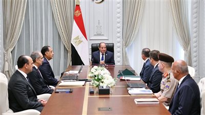 السيسي يؤكد أهمية دعم الدولة لقطاع الاتصالات وتكنولوجيا المعلومات