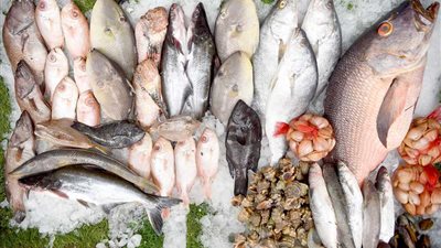 سعر السمك اليوم، انخفاض 20 جنيها في البلطي و40 بالماكريل وارتفاع 4 أصناف منها البوري