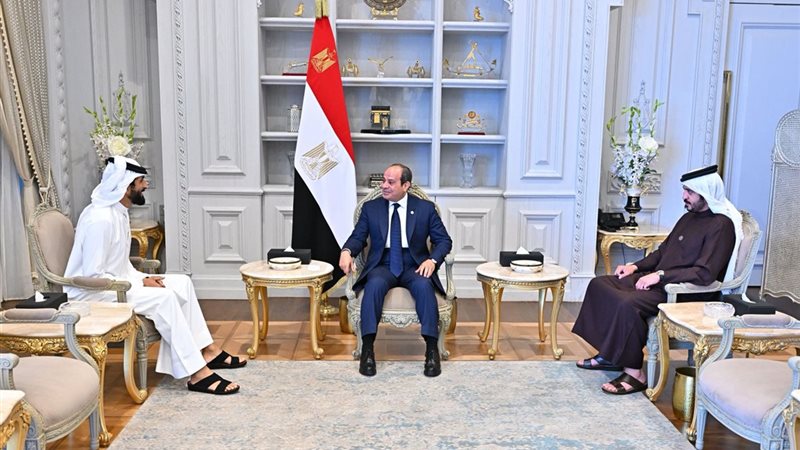 الرئيس عبد الفتاح