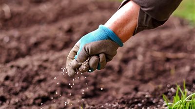 طن اليوريا المخصوص يرتفع 1146 جنيها، أسعار الأسمدة اليوم في الأسواق