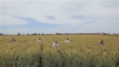 مجلس الوزراء: تمكين الفلاح استراتيجية مستمرة لنهضة زراعية (فيديو)