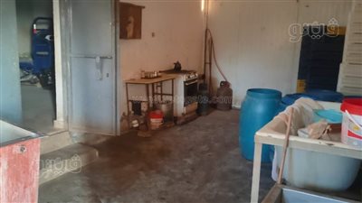 ضبط 810 كيلو جبنة موزاريلا مجهولة المصدر ببني سويف