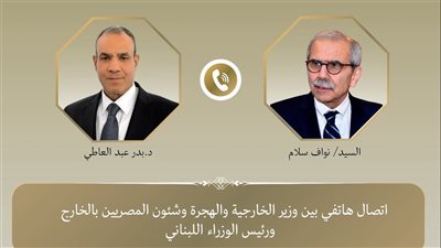 وزير الخارجية يؤكد لنظيره اللبناني مواقف مصر الداعمة لبيروت