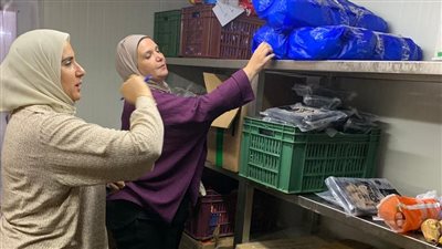 ضبط 2.5 طن لحوم غير صالحة في حملة تفتيشية بالمنصورة