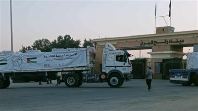 عبور 19 شاحنة مساعدات إماراتية معبر رفح البري إلى غزة 