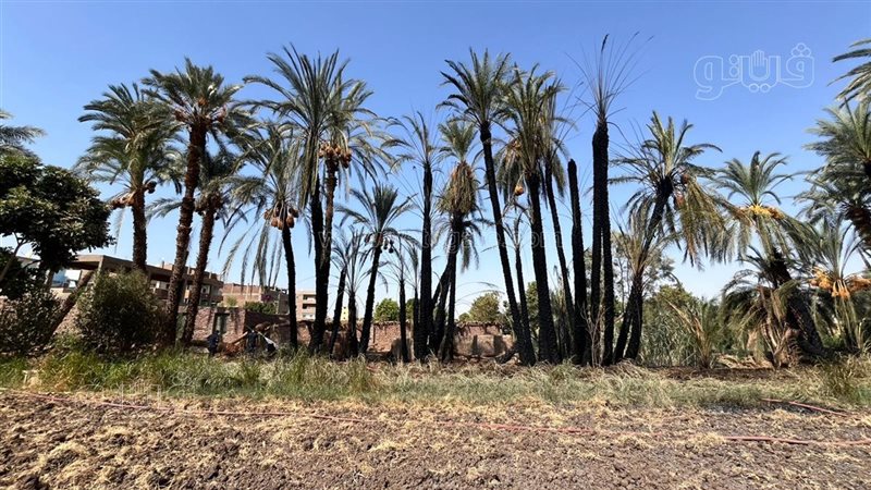 الحريق بعد إخماده