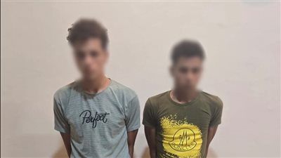 ضبط المتهمين في فيديو اعتداء شخصين على سائق توك توك بالغربية