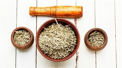 منها الملاريا وآلام المفاصل، 15 فائدة صحية للشيح و4 مضاعفات من الإفراط في تناوله