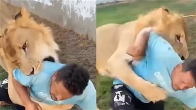 بعد بيان النيابة الليبية، عقوبة غير متوقعة في انتظار صاحب واقعة مزاح الأسد مع عامل مصري