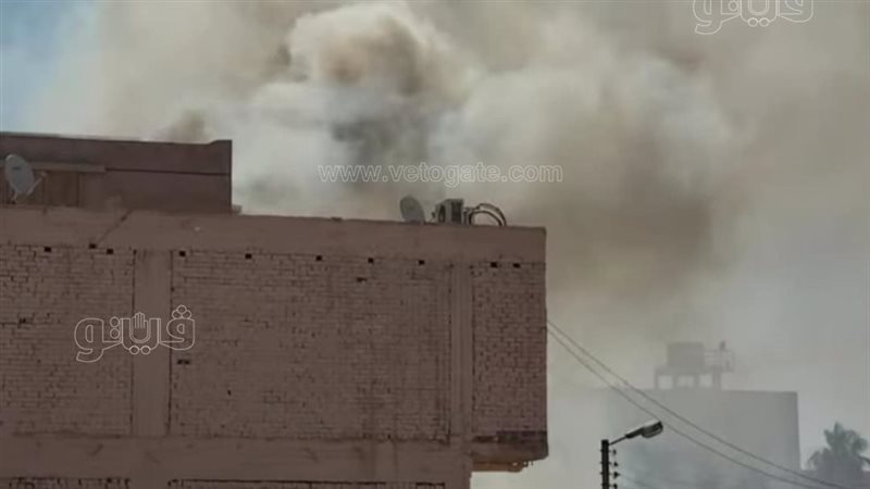جانب من الحريق، ڤيتو