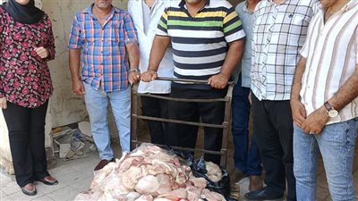 إعدام 117 كيلو لحوم دواجن و3 كيلو لحوم مصنعة غير صالحة للاستهلاك الآدمي بسوهاج