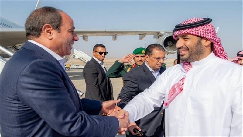 الرئيس السيسي وولي