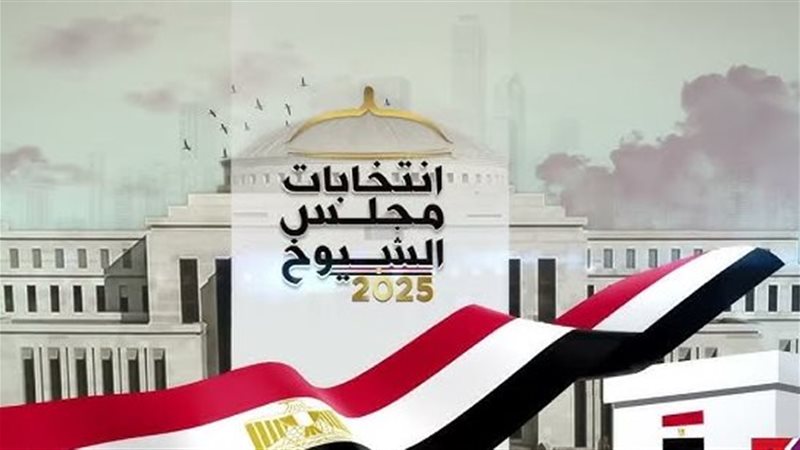 انتخابات مجلس الشيوخ،