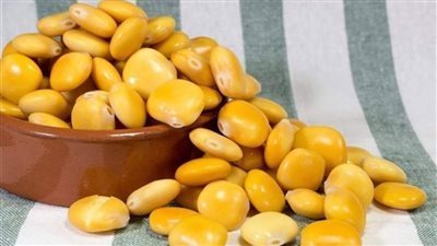 الترمس.. تسالي صحية وفوائد غذائية مذهلة