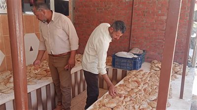 بعد شكاوى المواطنين، تموين الوادي الجديد تسحب 45 عينة دقيق من مطحن للغلال