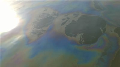 ظهور بقعة زيت كبيرة بنهر النيل في الأقصر، وشركة المياه تتدخل