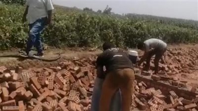 محافظ الغربية: لا تهاون مع أي تعدٍ على الأراضي الزراعية (صور)