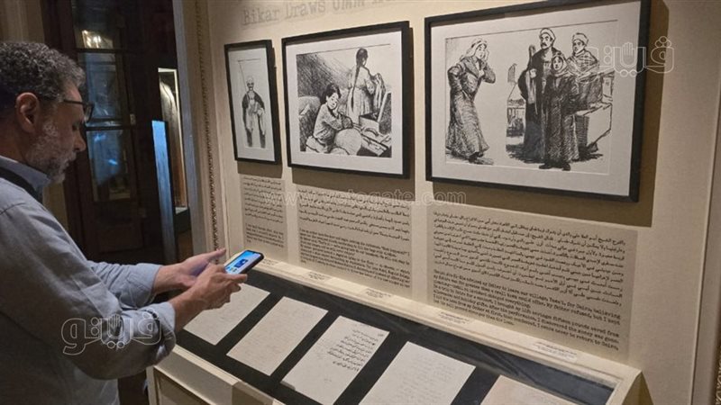 معرض صوت مصر، فيتو
