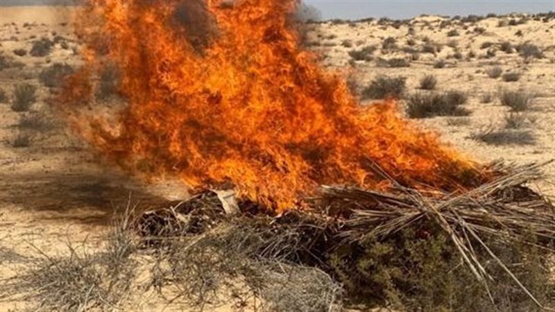  الداخلية تضبط 13
