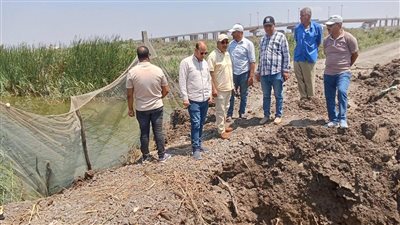 إزالة وتصريف مزرعة سمكية مخالفة بالحسينية في الشرقية 