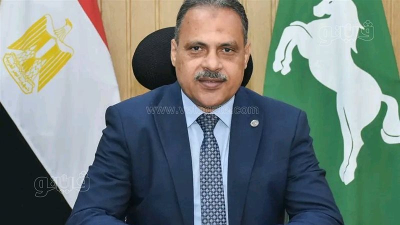  محافظ الشرقية