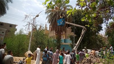 رئيس محلية أرمنت بالأقصر: هروب قرد من أحد المربين بقرية الديمقراط 