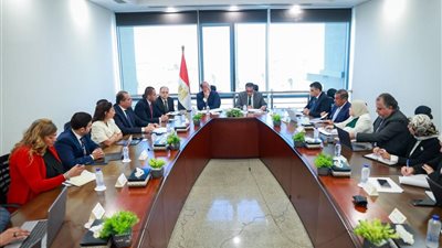 وزير المالية: مصر تمتلك الأدوات والقدرات الكفيلة بمساندة وتعزيز صادراتها الطبية