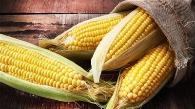 الذرة الصفراء، تسالي لذيذة وشهيرة يجب تناولها حفاظا على الصحة