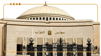 سؤال برلمانى بشأن تأخر إضافة المواليد لبطاقات تموين مستحقى 